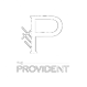 provident logo